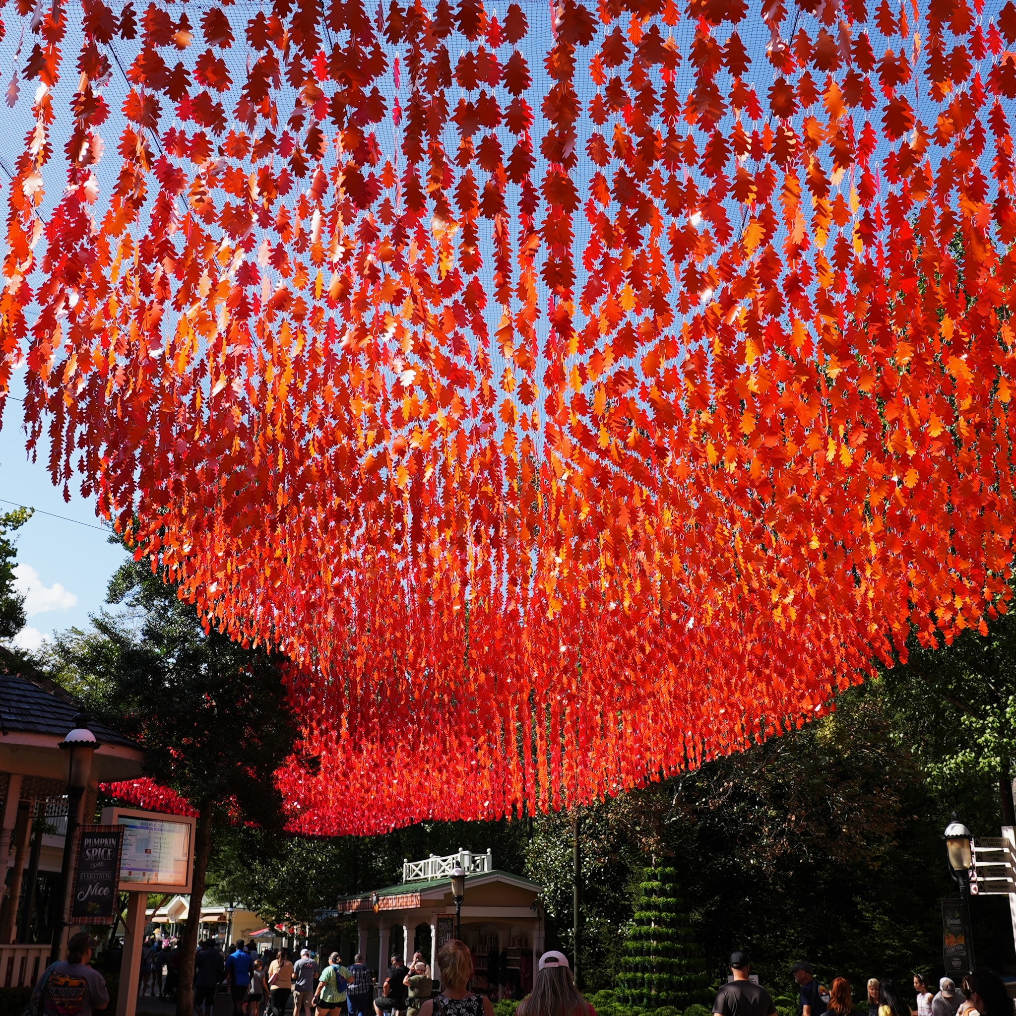Dollywood-Harvest-Festival-Begins-Today