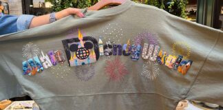 Walt Disney World Park Icons Spirit Jersey